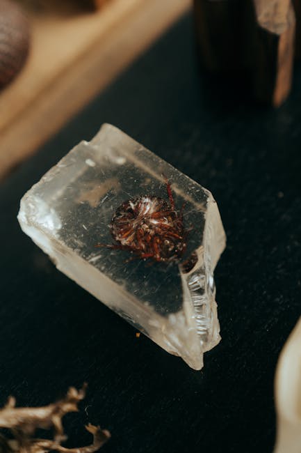 Usage Process and Real Feelings